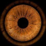 The Eye of NDF avatar